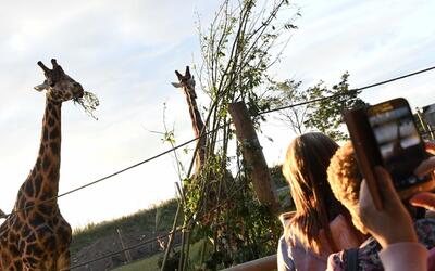 Yorkshire Wildlife Park