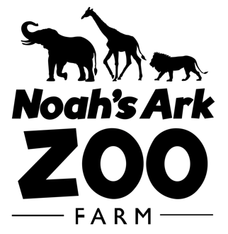 Noah's Ark Zoo Farm