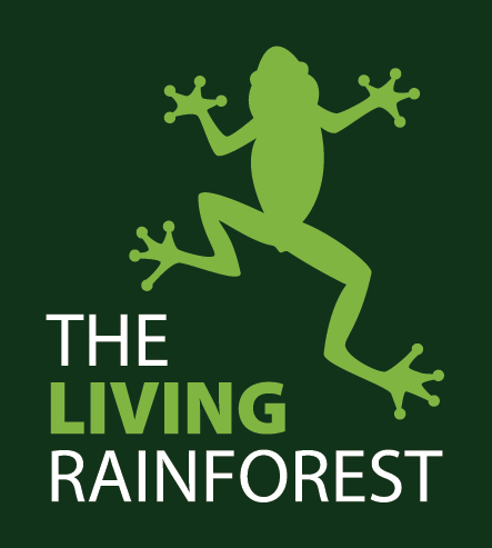 The Living Rainforest