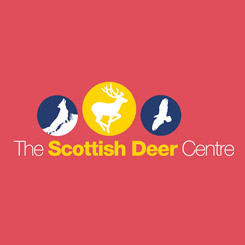 The Scottish Deer Centre