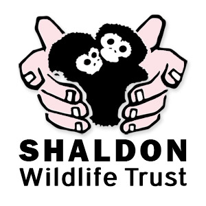 Shaldon Wildlife Trust