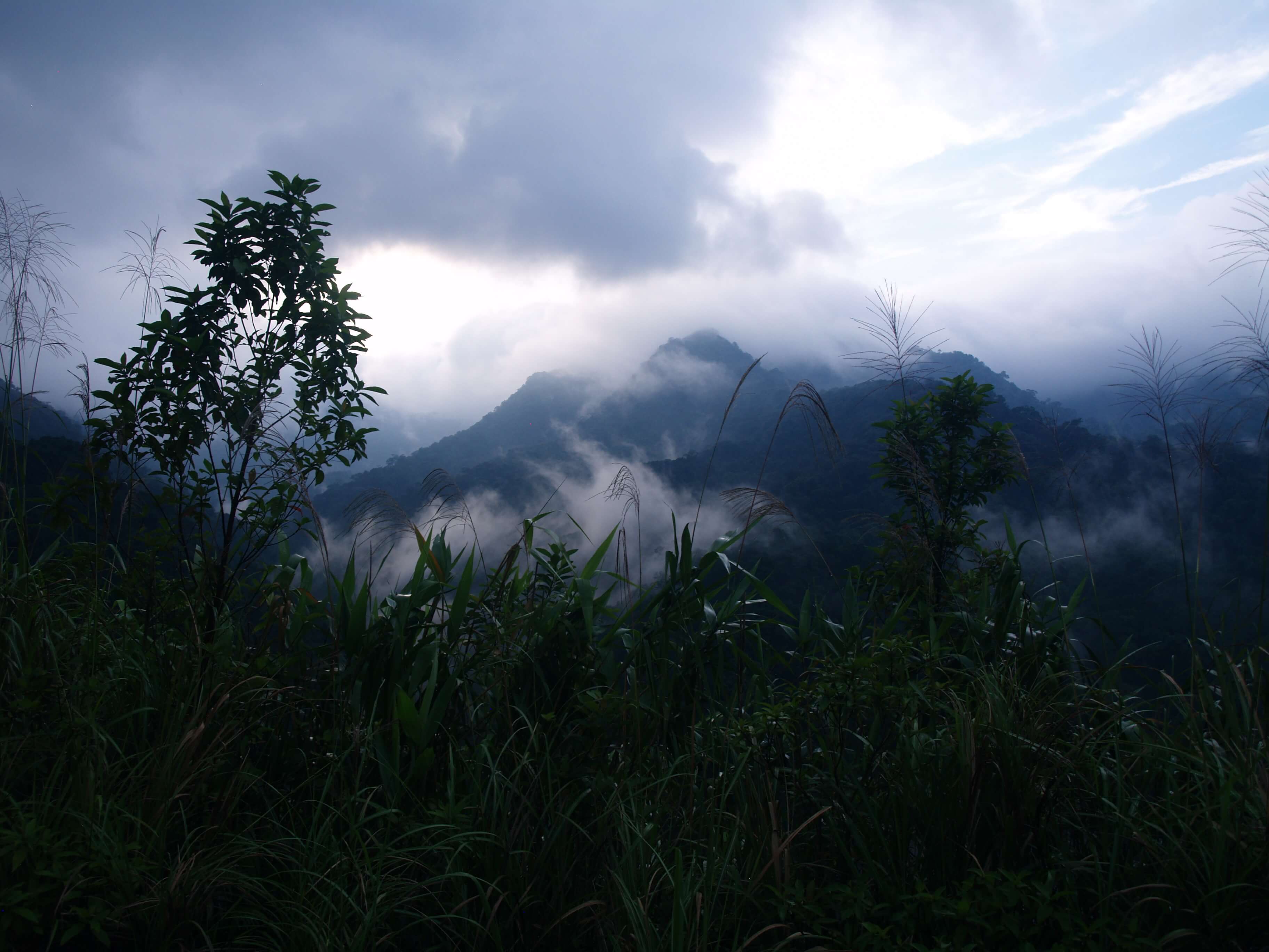 Climate change & sustainability