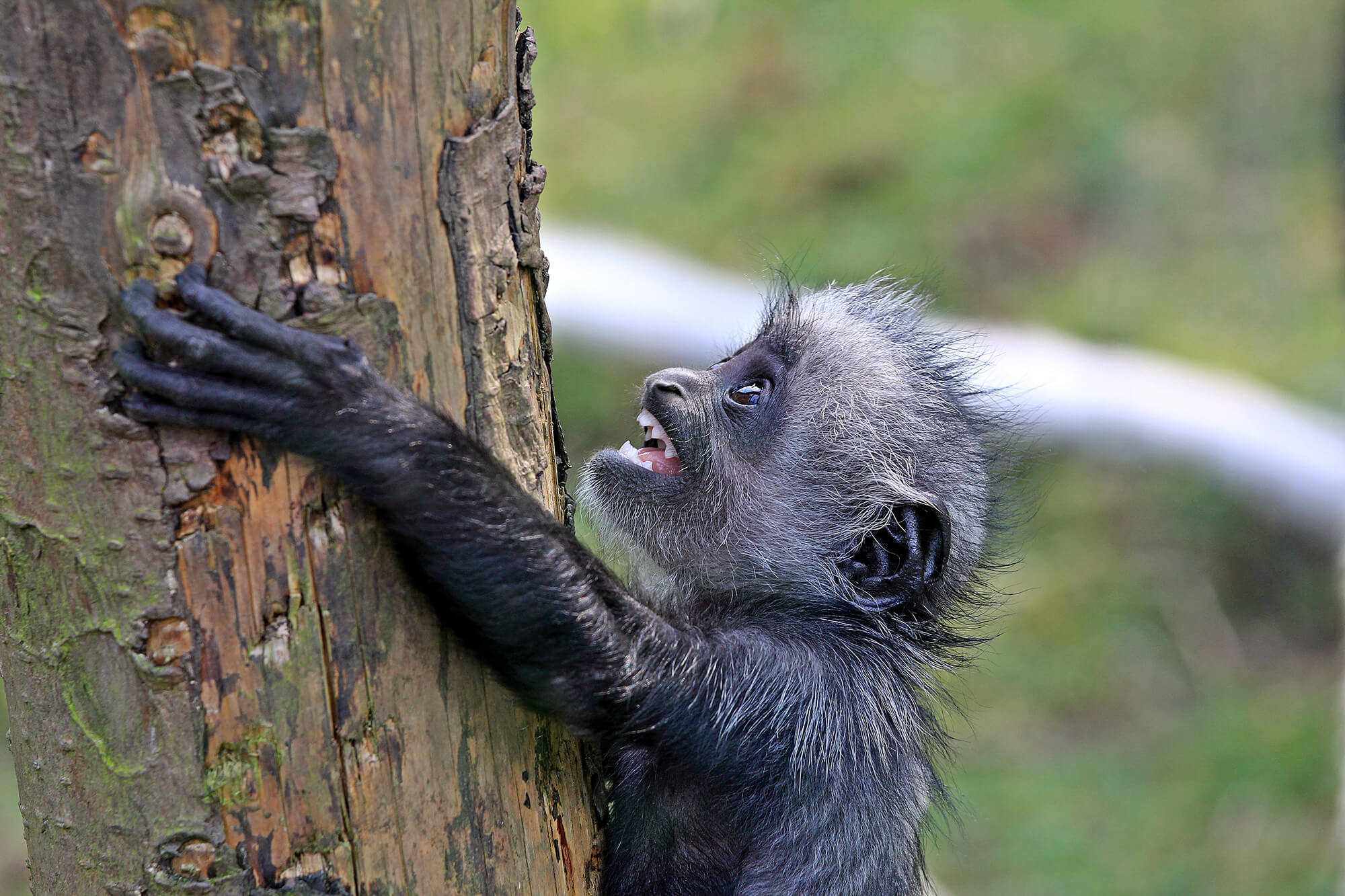 Resources for educators