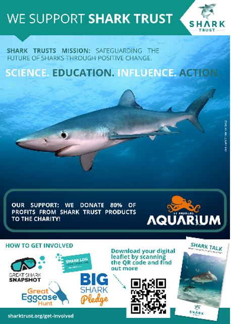 A Shark Trust Sign being displayed at St Andrews Aquarium, designed to be eye catching for visitors. 